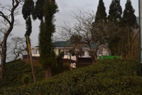 MiM HERITAGE HOMESTAY